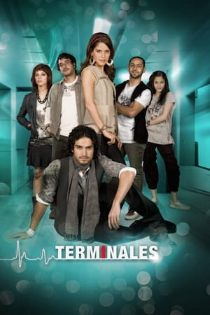 Terminales