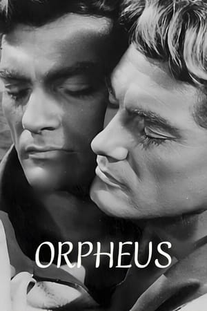 Orpheus