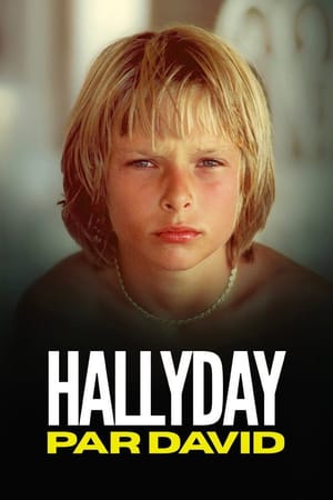Hallyday par David