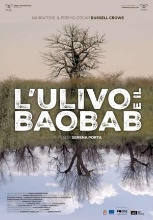 The Olive Tree and the Baobab