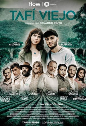 Tafi Viejo