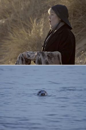 Seals'kin
