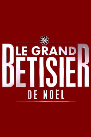 Le Bêtisier De Noël Le Grand Show