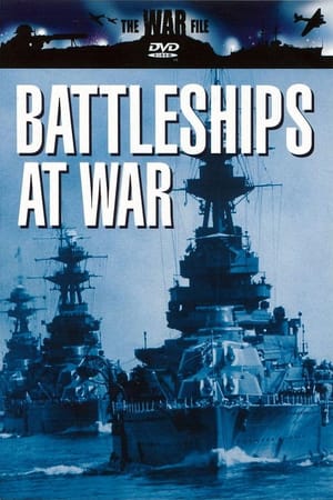 The War File: Battleships at War