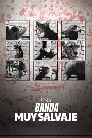 The Wild Wild Bunch