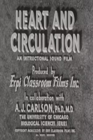 Heart and Circulation