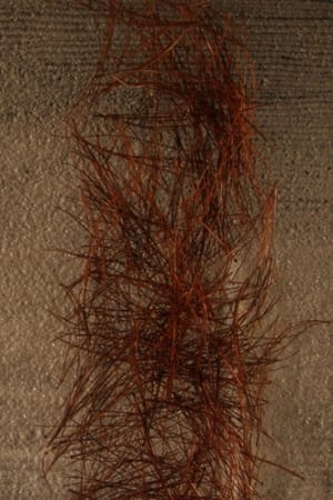 Kigo