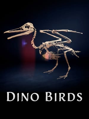 Dino Birds