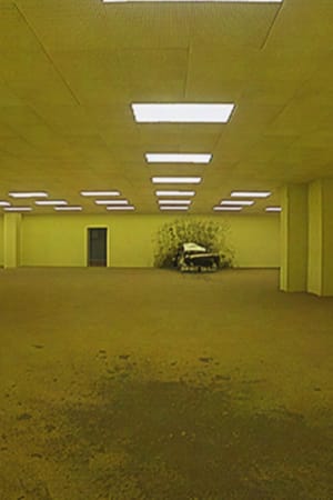 The Backrooms (Found Footage 2)