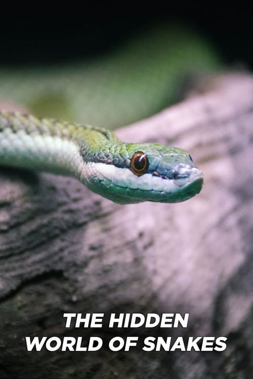 The Hidden World of Snakes