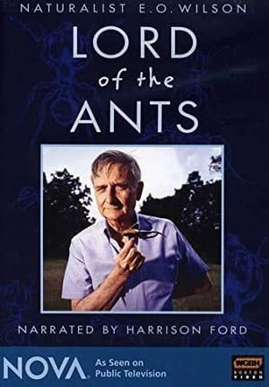 Lord of the Ants
