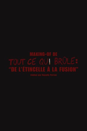De l'étincelle à la fusion (Making-of "Tout ce qui brûle")
