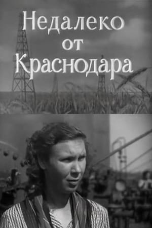 Not Far From Krasnodar
