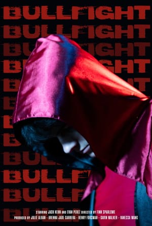 Bullfight