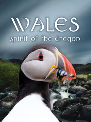 Wales: Spirit of the Dragon