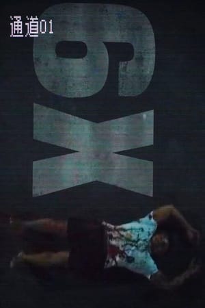 6x1