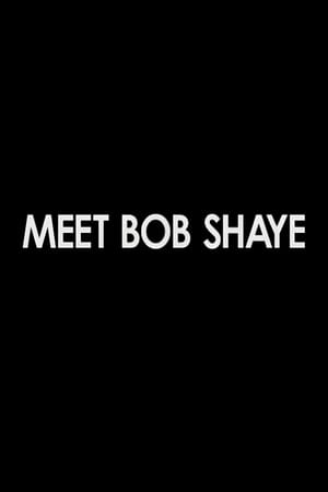 Meet Bob Shaye