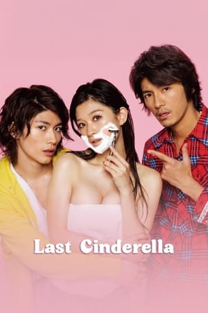 The Last Cinderella