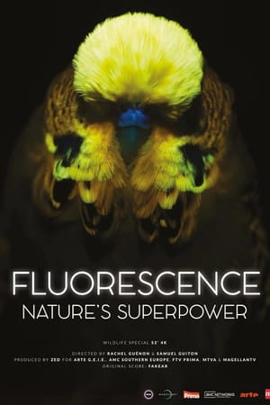 Fluorescence: Nature's Superpower