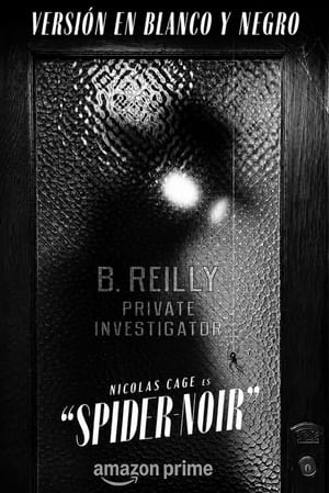 Spider-Noir Black and White Edition