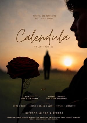 Calendula