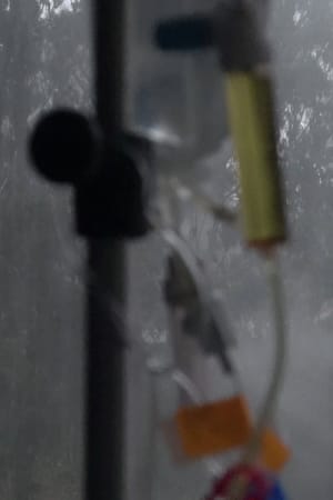 Knot (Fog, Eucalyptus, Methotrexate)