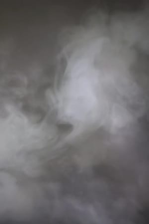 The Ghosts
