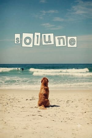 Solune