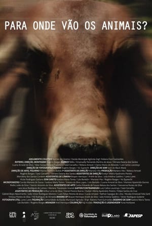 Para Onde Vão Os Animais