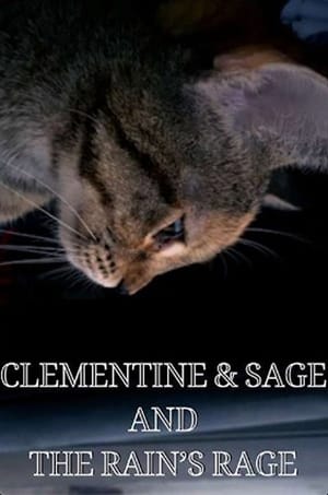 Clementine & Sage and The Rain's Rage