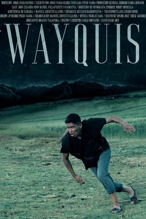 ​​​Wayquis