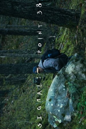 Signal point 38