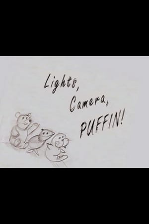 Elf: Lights, Camera, Puffin!
