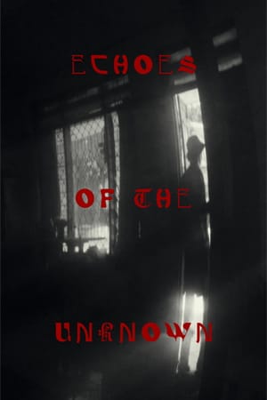 Echoes Of The Unknown