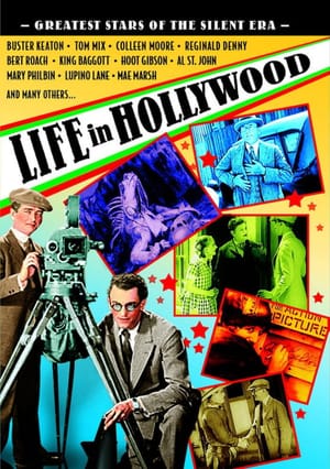 Life in Hollywood
