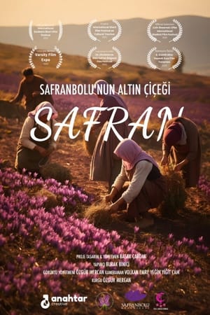 Safranbolu’s Golden Flower: Saffron