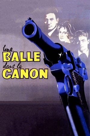 A Bullet in the Gun Barrel