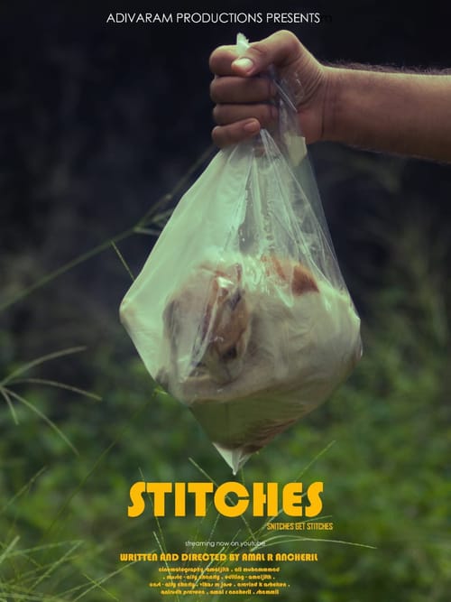 STITCHES