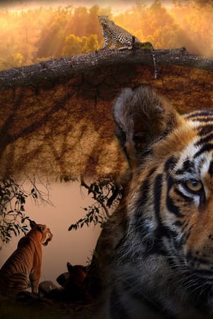 Tiger Legacy