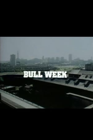 Bull Week