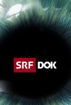SRF DOK