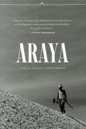 Araya