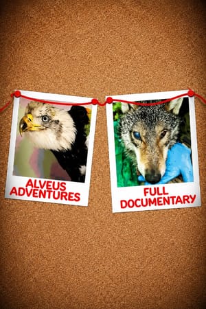 Alveus Adventures