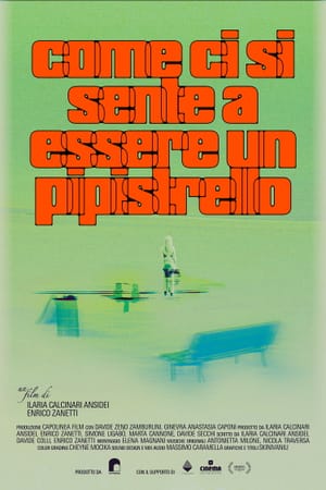 Come ci si sente a essere un pipistrello