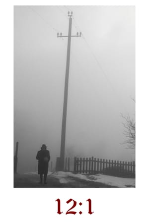 12:1
