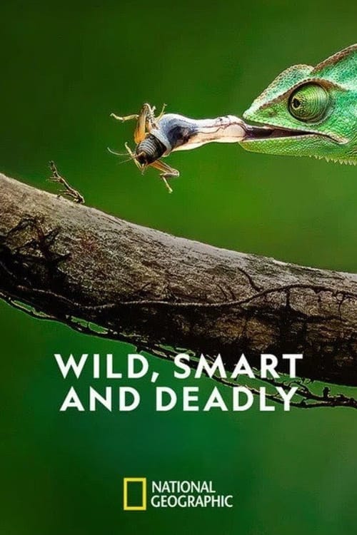 Wild, Smart and Deadly
