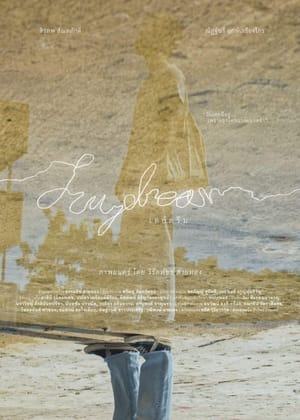 Daydream