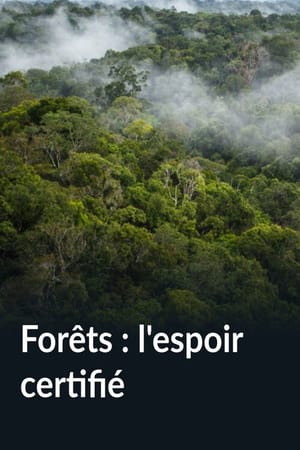 Forêts : l'espoir certifié