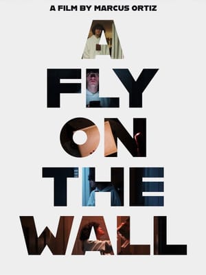 A Fly On The Wall