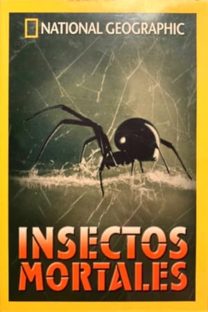 Bug Attack